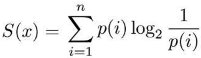 Shannon entropy formula